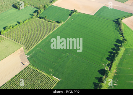 Zona agricola con i campi, praterie e siepi dall'aria, Belgio Foto Stock