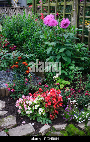 Ben mantenuto piccolo giardino di un semi staccate cottage in South Yorkshire England Regno Unito ai primi di settembre Foto Stock