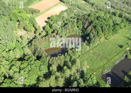 Superficie boschiva, zone umide e reedland dall'aria, Demerbroeken riserva naturale, Belgio Foto Stock