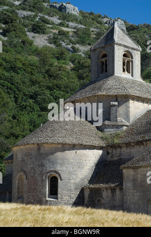Abbazia di Sénanque / Abbaye Notre-dame de Sénanque vicino al villaggio di Gordes, Vaucluse, Provence-Alpes-Côte d'Azur, Provenza, Francia Foto Stock
