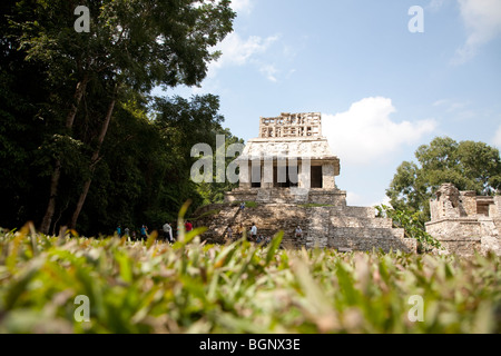 Il Tempio del Sole, Palenque sito archeologico, in Chiapas. Foto Stock