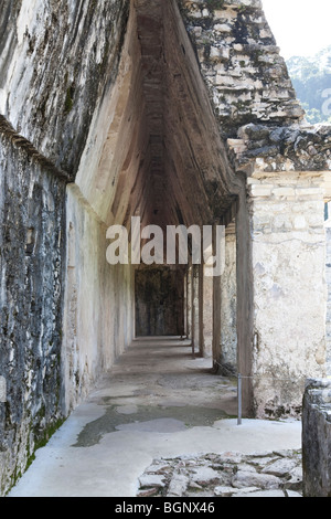 Palazzo, Palenque sito archeologico, in Chiapas. Foto Stock