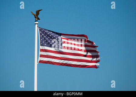 Sventola bandiera degli stati uniti con la golden eagle Foto Stock