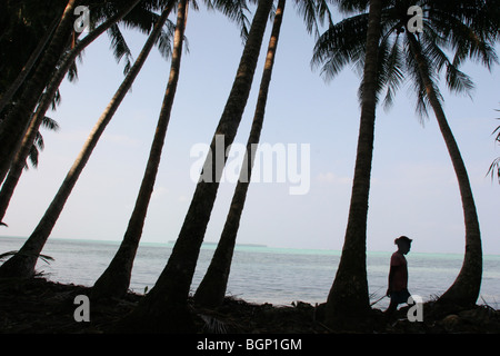 Giovane ragazza cammina tra palme da cocco sulla costa di puil Isola Carteret Atoll, Papua Nuova Guinea Foto Stock