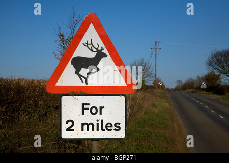 Cartello stradale di avvertimento di cervi davanti per due miglia Foto Stock