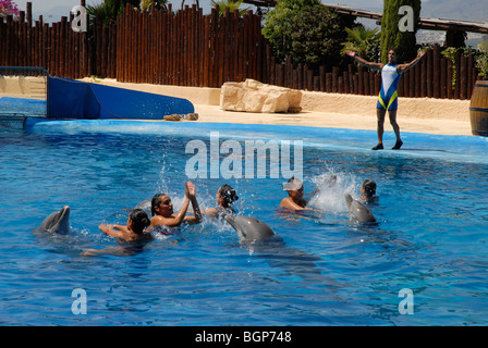 Spettacolo di Delfini, Mundomar, Benidorm, Alicante provincia, Comunidad Valenciana, Spagna Foto Stock