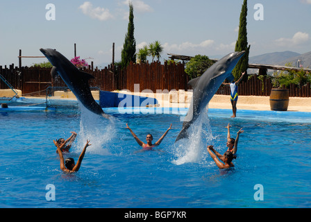 I delfini jumping Dolphin Show, Mundomar, Benidorm, Alicante provincia, Comunidad Valenciana, Spagna Foto Stock