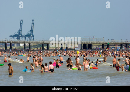 Nuotatori / turisti sguazzare nel Mare del Nord e la vista sul porto di gru di Zeebruges, Blankenberge, Belgio Foto Stock