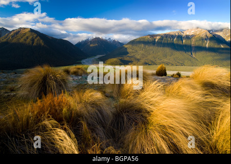 Arthur's Pass il Parco Nazionale di South Island, in Nuova Zelanda Foto Stock