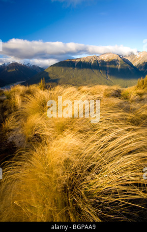 Arthur's Pass il Parco Nazionale di South Island, in Nuova Zelanda Foto Stock