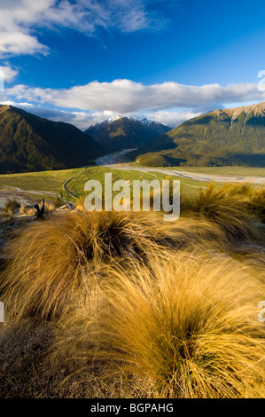 Arthur's Pass il Parco Nazionale di South Island, in Nuova Zelanda Foto Stock