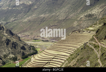 I terrazzamenti a rovine Inca di Pisac, Perù Foto Stock