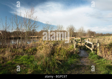 Il Thames Path tra Benson e Shillingford, Oxfordshire, Regno Unito Foto Stock