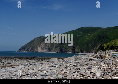 Spiaggia Lynmouth north devon Foto Stock