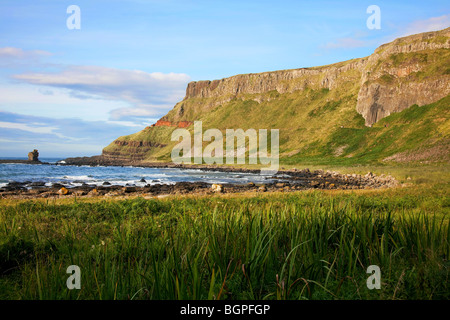 La baia di organo al Giant's Causeway Antrim Irlanda del Nord un fenomeno naturale e un sito del patrimonio mondiale. Foto Stock