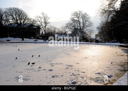 Congelato stagno al Queens Park Brighton SUSSEX REGNO UNITO Foto Stock