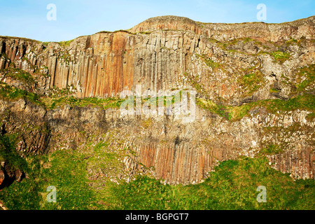 Le arpe al Giant's Causeway Antrim Irlanda del Nord un fenomeno naturale e un sito del patrimonio mondiale. Foto Stock