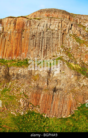 L'arpa presso il Selciato del gigante Antrim Irlanda del Nord un fenomeno naturale e un sito del patrimonio mondiale. Foto Stock