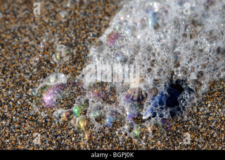 Limpet e gusci di cozze sedersi sulla sabbia a widemouth bay bude north cornwall colvered con bolle colorate Foto Stock