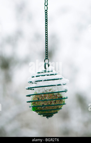 Sfera di grasso bird feeder ricoperta di neve Foto Stock