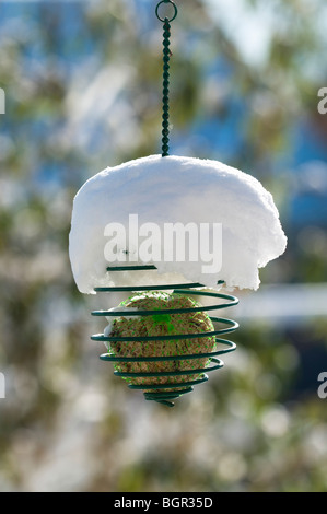 Sfera di grasso bird feeder ricoperta di neve Foto Stock