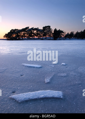 Tramonto su un ascia Congelato stagno New Forest Hampshire REGNO UNITO Foto Stock