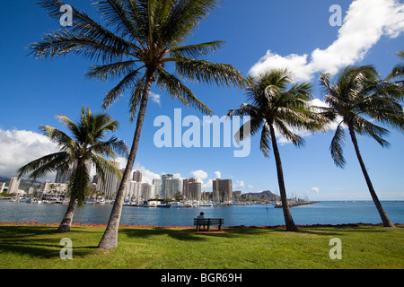 Alberi di palma e da una panchina nel parco di Ala Moana Park sull'isola di Oahu, Hawaii Foto Stock