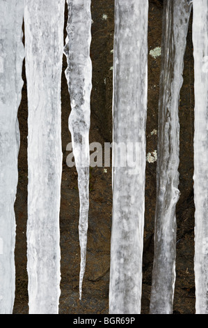 Ghiaccio sulla scogliera in Cherokee Foresta Nazionale nella Contea di Monroe, Tennessee Foto Stock