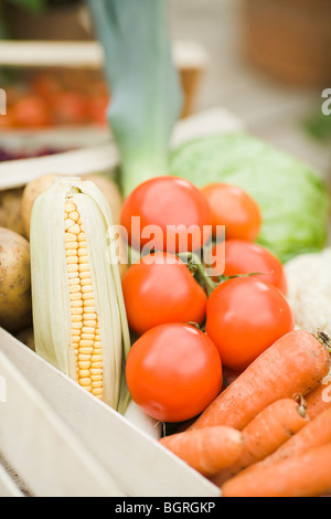 Verdure, close-up. Foto Stock