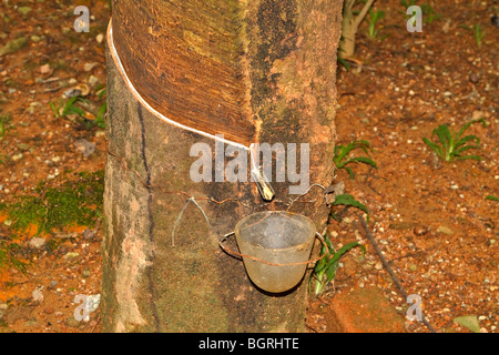 Struttura in gomma essendo tappato per latex Foto Stock