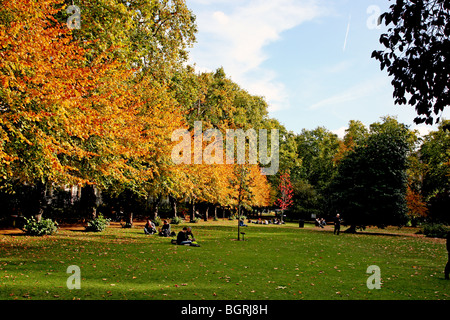 Gordon Square, Londra in autunno Foto Stock