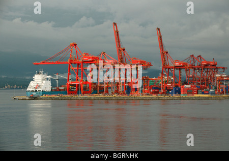 DP World International marine container terminal le operazioni nel porto di Vancouver, Foto Stock