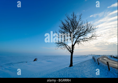 Incantevole paesaggio invernale di Enkhuizen nei Paesi Bassi Foto Stock