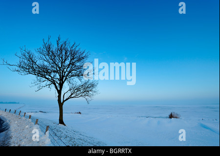 Incantevole paesaggio invernale di Enkhuizen nei Paesi Bassi Foto Stock