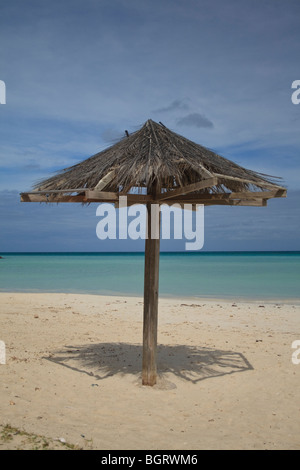 Palapa Beach erba ombrello sull'isola caraibica di Aruba Foto Stock