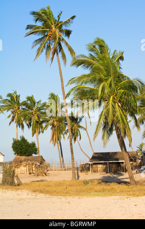 Villaggio di Pescatori, Morondava, Madagascar Foto Stock