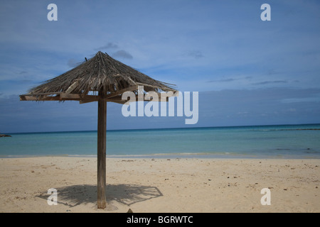 Spiaggia in erba ombrello palapa sull'isola caraibica di Aruba Foto Stock