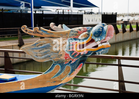 Dragon Boat si appoggia a Tempe Town Lake a Tempe, Arizona Foto Stock