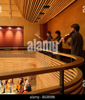 Yehudi Menuhin HALL - Yehudi Menuhin School, Cobham, Regno Unito, BURRELL FOLEY FISCHER Foto Stock