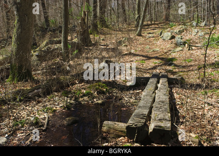 Registri utilizzati come passerella nella zona in cui il sentiero attraversa zone umide Foto Stock