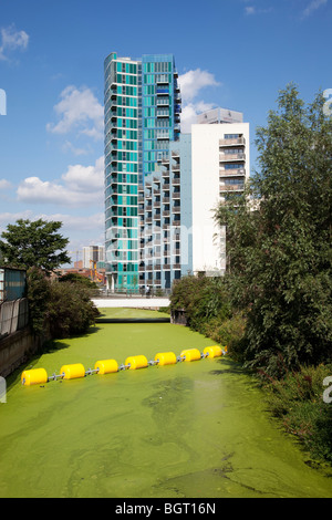 Weed sull'Hertford Union Canal nella zona est di Londra. Nuovo alloggiamento sviluppo accanto al canale. Foto Stock