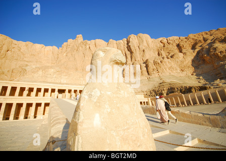 LUXOR, Egitto. Un falco Horus statua sulla terrazza mediana del tempio mortuario della Regina Hatshepsut. 2009. Foto Stock