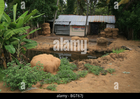 Donna che fa la corda da cocco, Kerala India Foto Stock