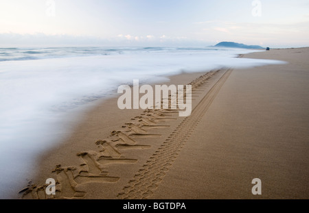 Le tracce del veicolo nella sabbia, spiaggia di estuario, St Lucia, Kwazulu-Natal, Sud Africa Foto Stock