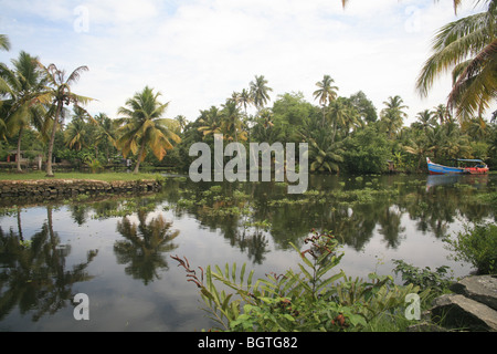 Barca Colouful in Kerala, India Foto Stock