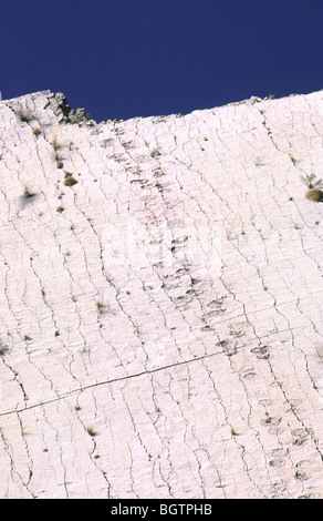 "Parque Cretacico', il sito dei mondi meglio conservati di orme di dinosauri vicino Sucre, Bolivia. Foto Stock