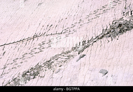"Parque Cretacico', il sito dei mondi meglio conservati di orme di dinosauri vicino Sucre, Bolivia. Foto Stock