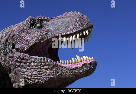 "Parque Cretacico', il sito dei mondi meglio conservati di orme di dinosauri vicino Sucre, Bolivia. Foto Stock