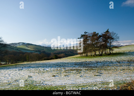 Campi invernali Colwyn Heights (Meteo Regno Unito) Foto Stock