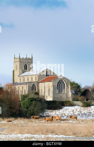 Vista invernale di Santa Maria Vergine Chiesa Wiveton, Norfolk, Regno Unito , con una copertura di neve e highland bestiame. Foto Stock